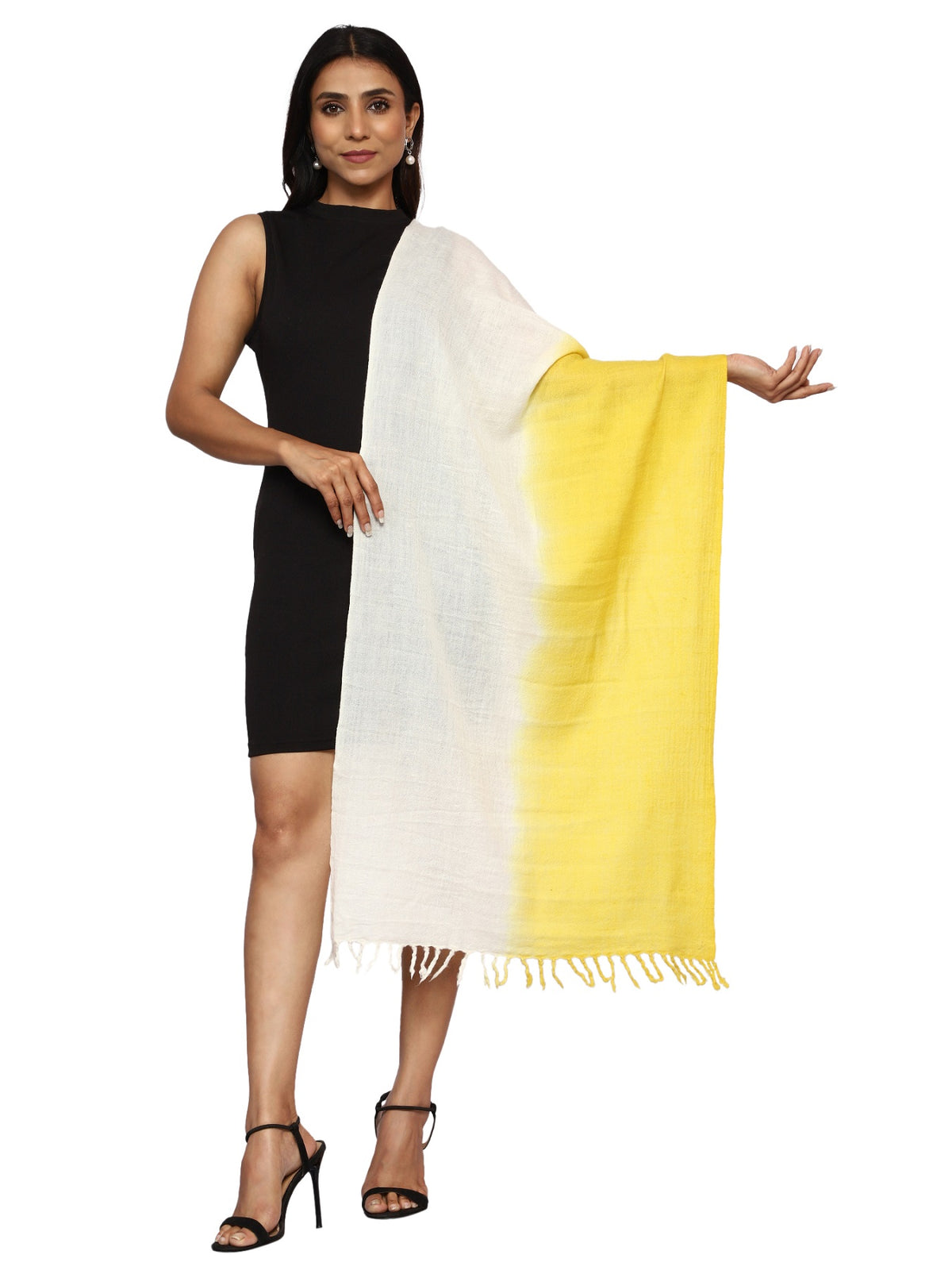 Pashmina & Merino Wool Handloom Stole