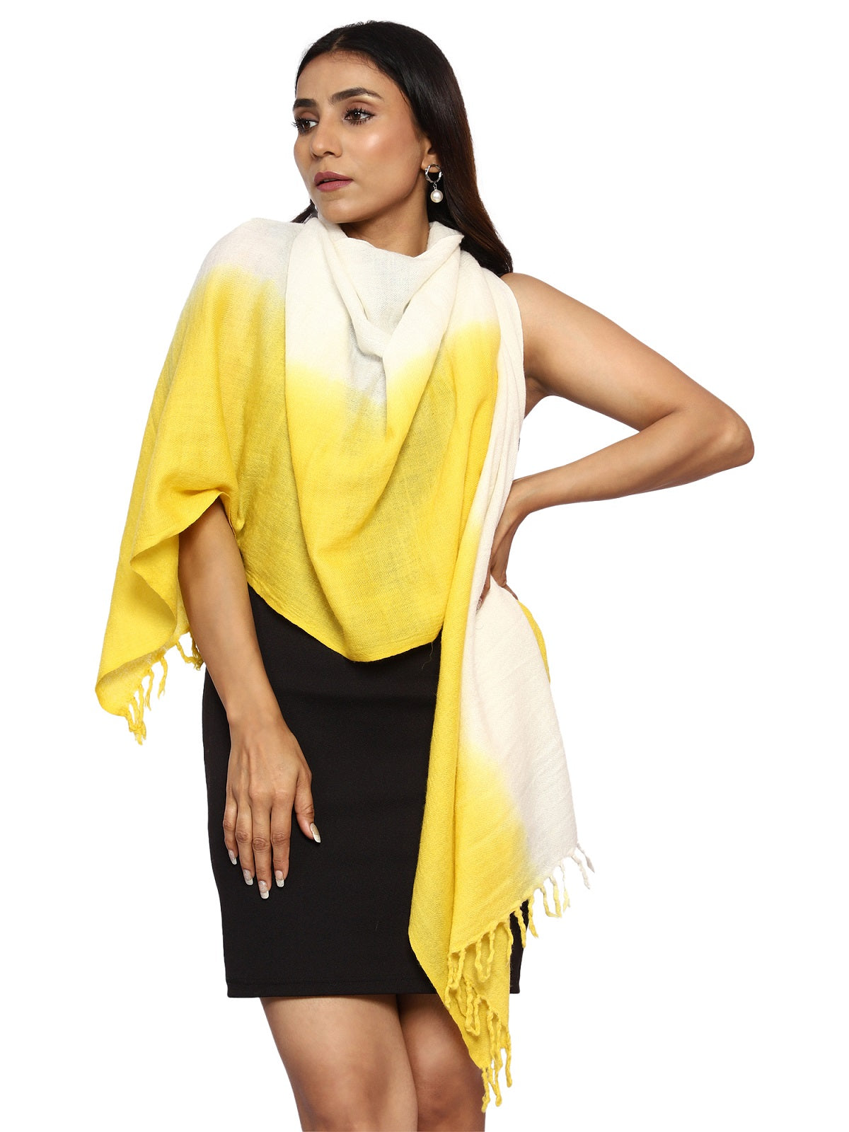 Pashmina & Merino Wool Handloom Stole