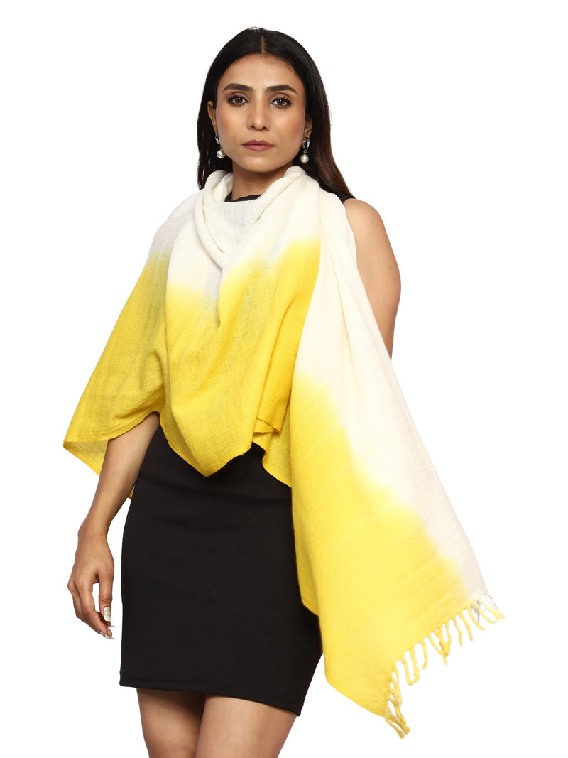 Pashmina & Merino Wool Handloom Stole