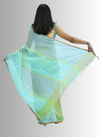 Pure Handloom Linen Multicolor Check Saree