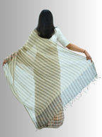 Pure Handloom Linen Beige Brown & Pink Check Saree