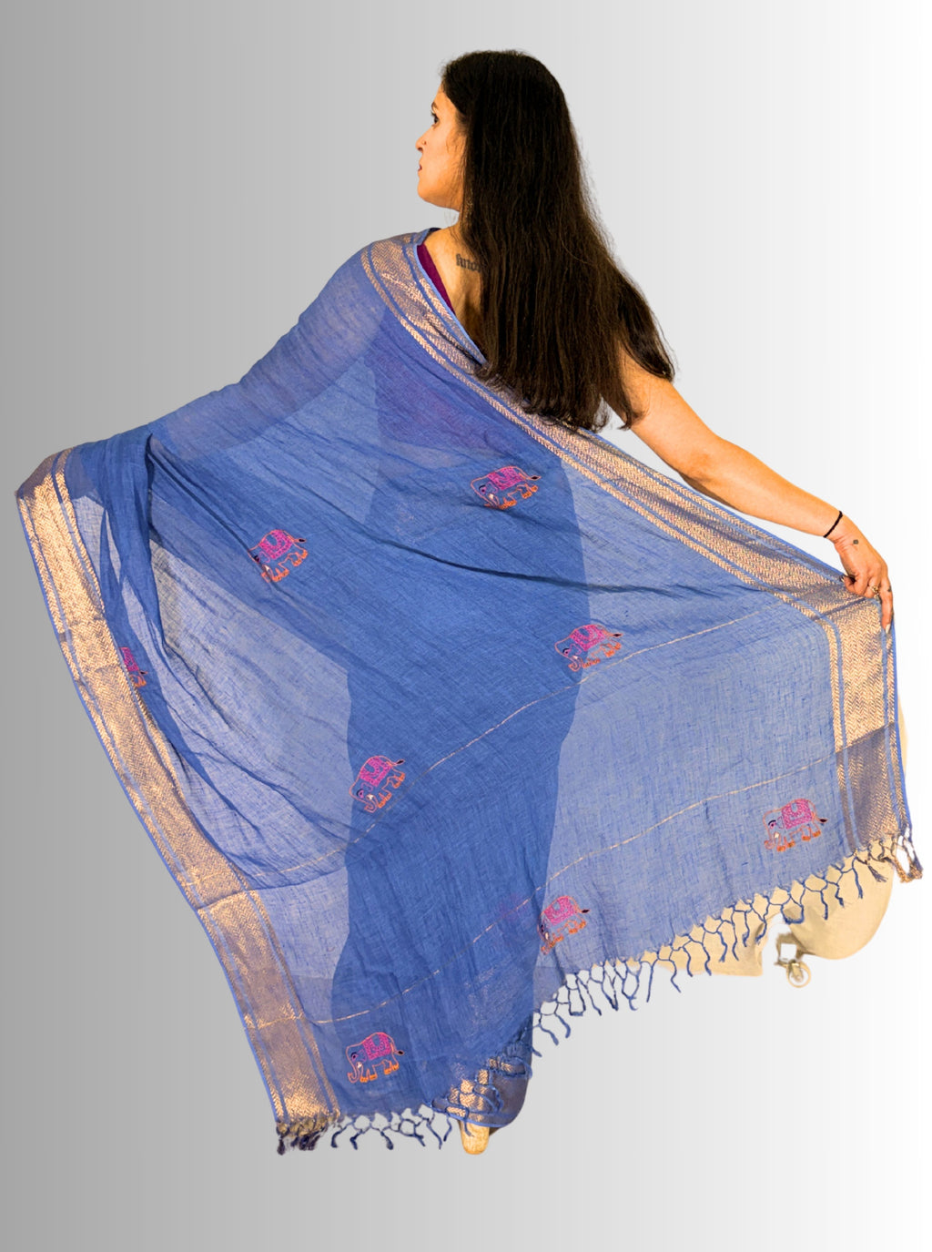 Blue handloom saree with copper zari border with hand embroiedry