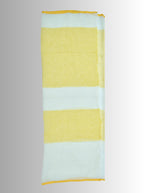 Pure Handloom Linen Multicolor Saree